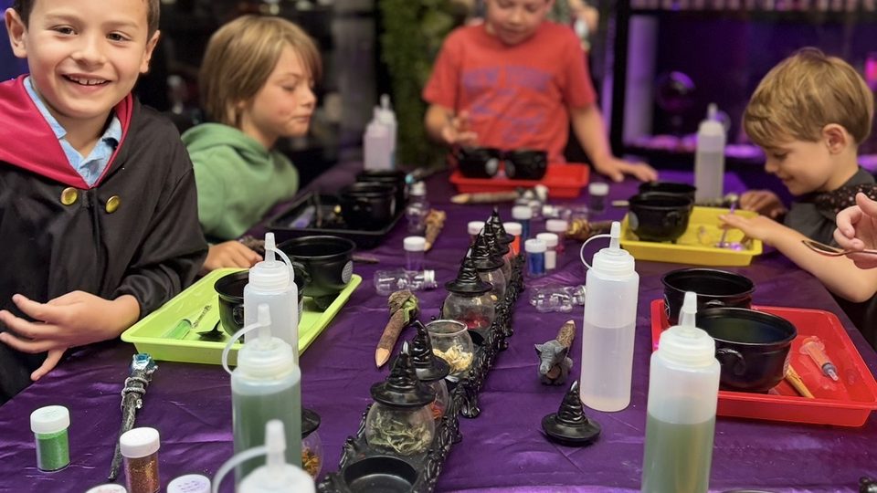 The potion table laid out with cauldrons, wands and coloured bottles before a party